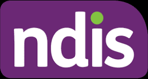 ndis support